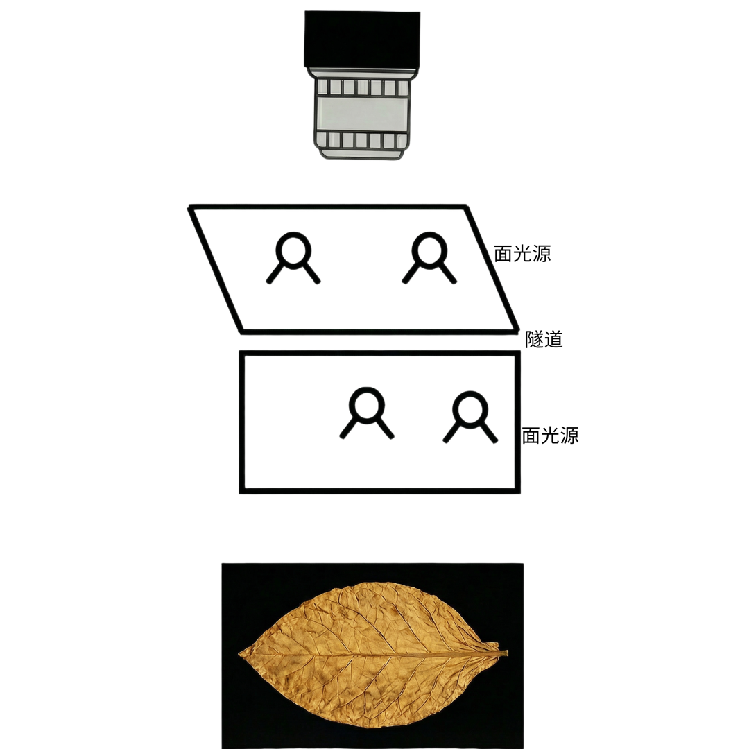 微信公眾號(hào)圖片