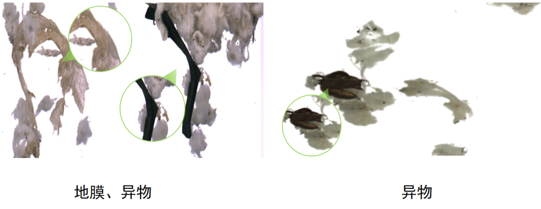 微信公眾號(hào)圖片