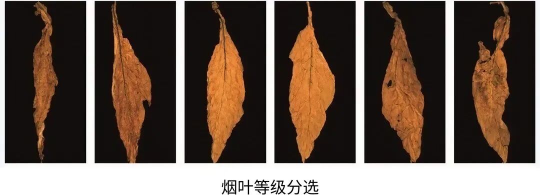 微信公眾號(hào)圖片