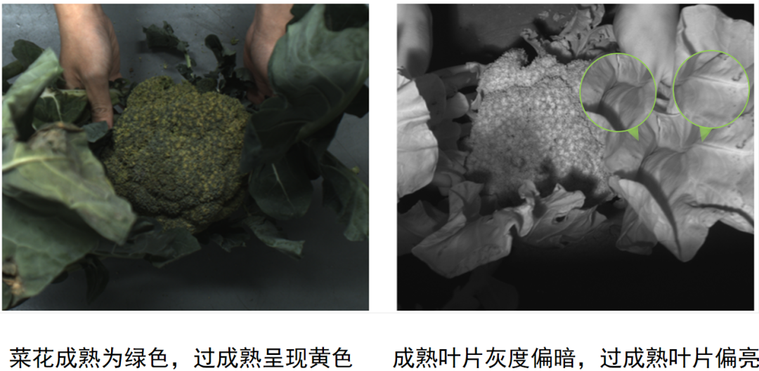 微信公眾號(hào)圖片